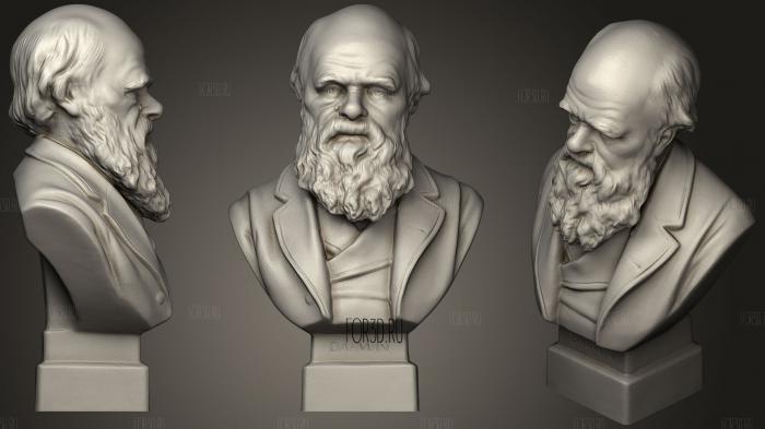 Bust Of Charles Darwin C.1899 stl model for CNC